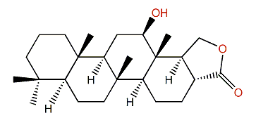 Hippospongide B